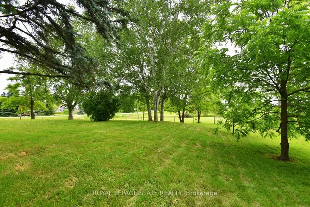 Additional image 39 of 731 Old Hwy 8