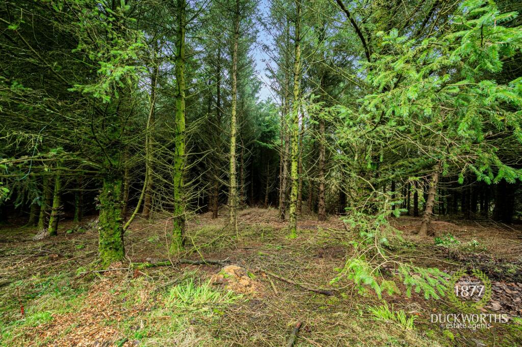 Additional image 34 of Bolton Road, Darwen, BB3