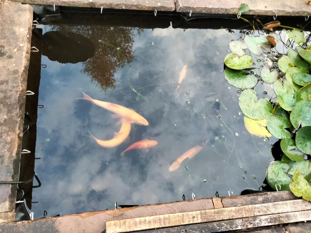 Additional image 23 of Hawkshaw Avenue, Darwen, Lancashire, BB3