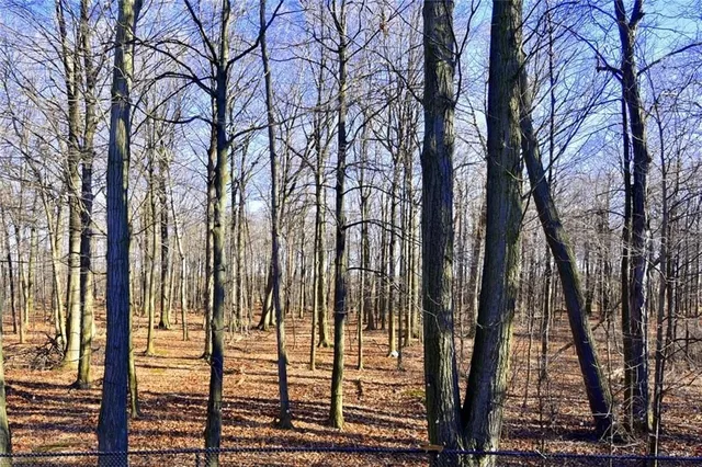 Additional image 40 of 59 HOLIMONT Crt