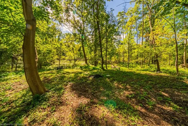 Additional image 46 of 704 Old Dundas Rd