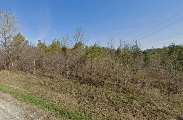 Additional image 2 of LOT 27 - 1540 Safari Rd