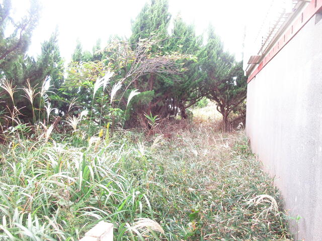 Additional image 7 of A wasteland in Hokota City, Ibaraki Prefecture