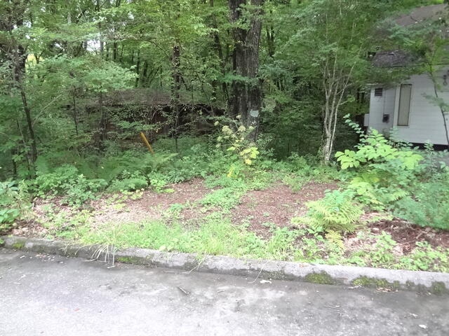 Additional image 14 of Kitakaruizawa, Naganohara-machi, Agatsuma-gun, Gunma Prefecture