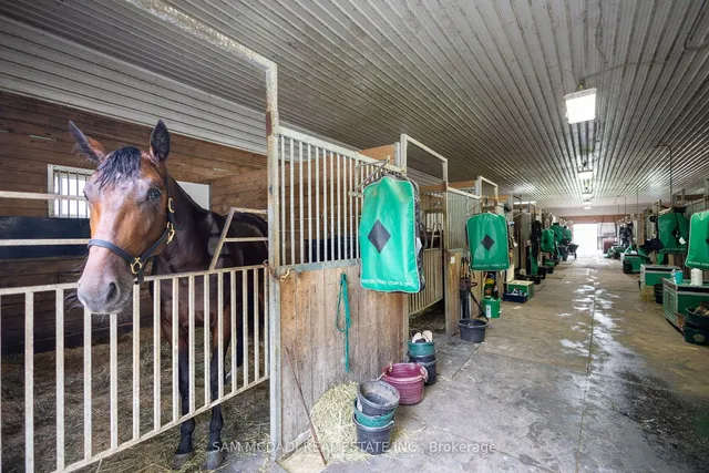 Additional image 21 of 1046 6 Concession Rd