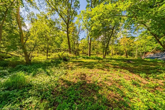 Additional image 45 of 704 Old Dundas Rd