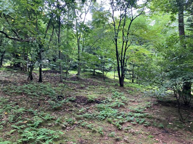 Additional image 15 of Oaza Nagakura, Karuizawa-machi, Kitasaku-gun, Nagano Prefecture