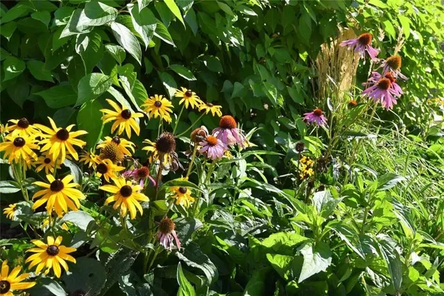 Additional image 31 of 101 SHOREVIEW Pl Unit 214