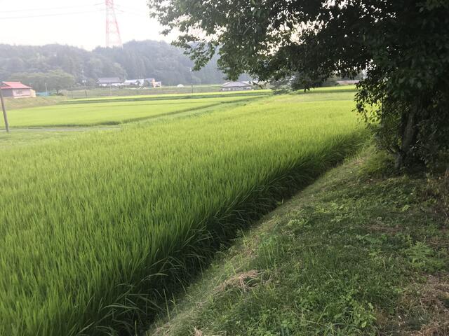 Additional image 7 of Katada, Otawara City, Tochigi Prefecture