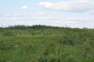 Additional image 5 of Foxfire Glen Lot 5 Block 3