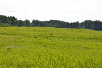 Additional image 5 of Foxfire Glen Lot 4 Block 2