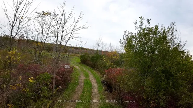 Additional image 20 of 601 York Rd