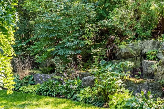 Additional image 49 of 858 Montgomery Dr