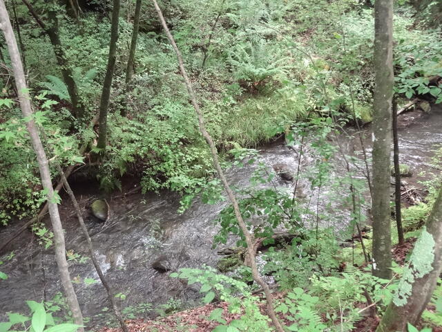 Additional image 13 of Kitakaruizawa, Naganohara-machi, Agatsuma-gun, Gunma Prefecture