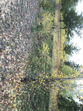 Additional image 4 of SE 25-59-16 W4