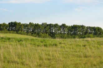 Additional image 4 of Foxfire Glen Lot 3, Block 3