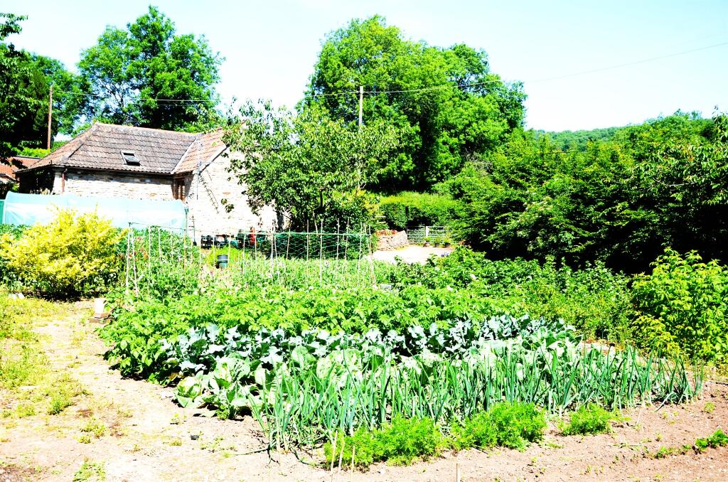 Additional image 32 of Kennel Batch, Wells