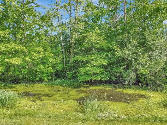 Additional image 35 of 1961 5th Concession Rd