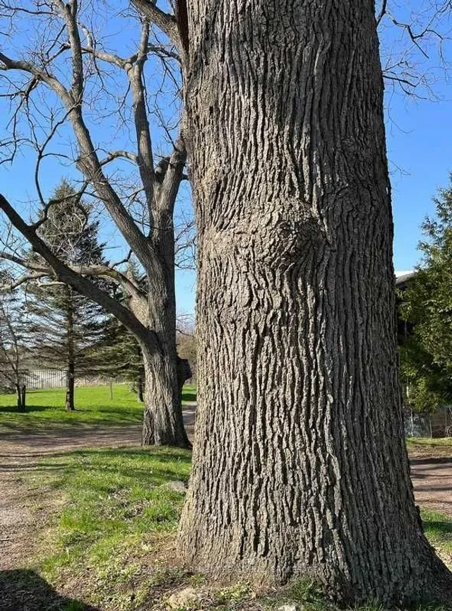 Additional image 26 of 1457 97 Regional Rd