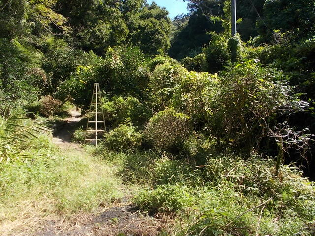 Additional image 7 of Oaza Shiranoe, Moji Ward, Kitakyushu City, Fukuoka Prefecture