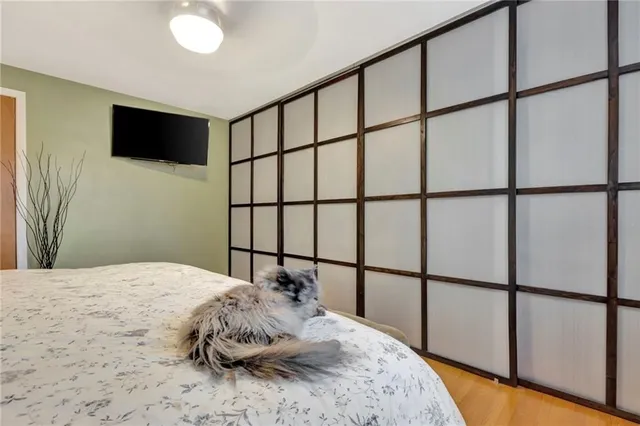 Additional image 17 of 65 MAPLE Dr