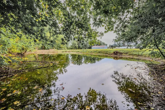 Additional image 35 of 900 Beeforth Rd