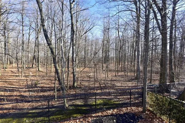 Additional image 42 of 59 HOLIMONT Crt