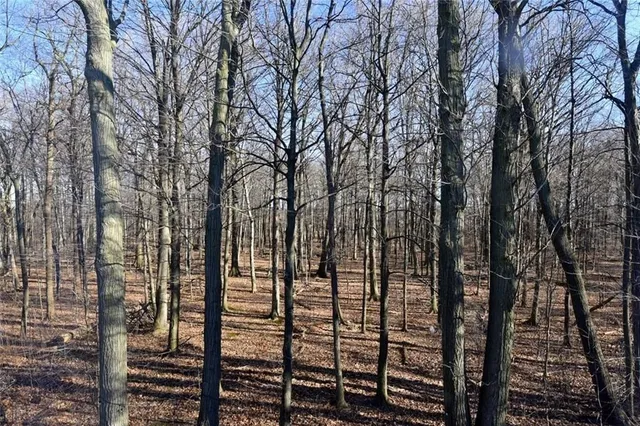 Additional image 26 of 59 HOLIMONT Crt