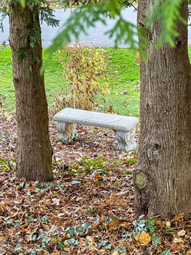 Additional image 29 of 851 Mewburn Rd