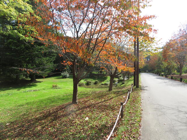 Additional image 30 of Akaigawa, Morimachi, Kayabe District, Hokkaido