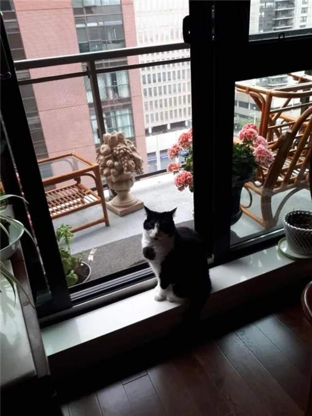 Additional image 22 of 112 KING St Unit 1109