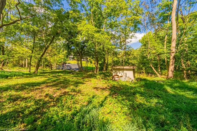 Additional image 44 of 704 Old Dundas Rd