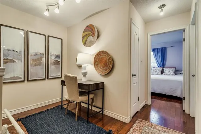 Additional image 10 of 17 Palacebeach Trail