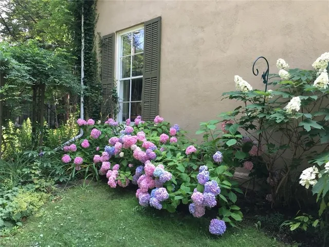 Additional image 37 of 340 Dundas St