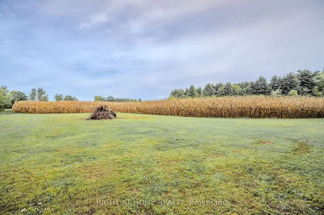 Additional image 36 of 900 Beeforth Rd