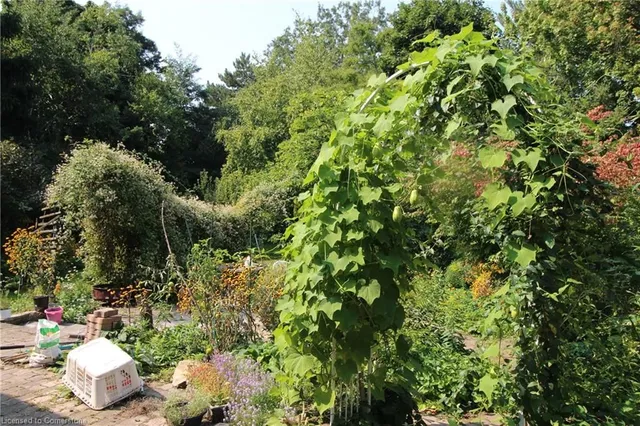 Additional image 38 of 24 Leadale Pl