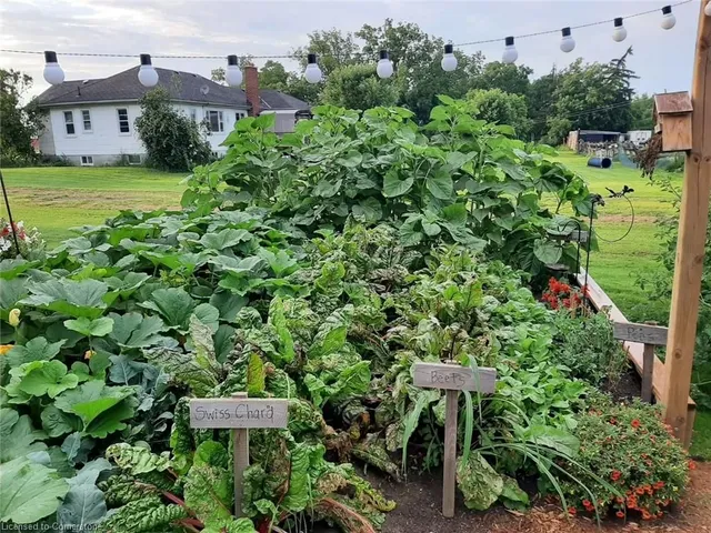 Additional image 41 of 2323 56 Hwy