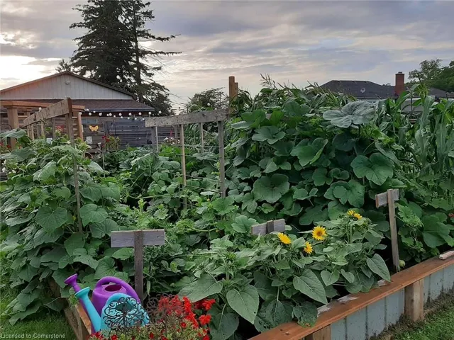 Additional image 40 of 2323 56 Hwy