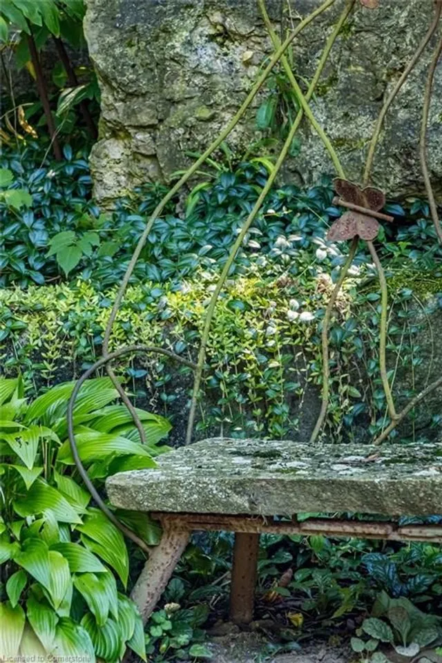 Additional image 48 of 858 Montgomery Dr