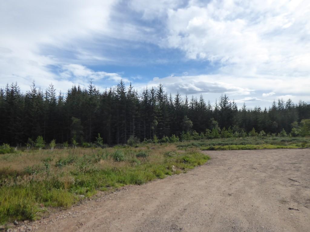 Additional image 3 of Plot 2, Cossack Wood, Craigellachie AB38 9SL