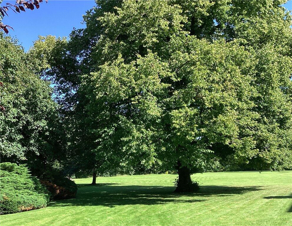 Additional image 21 of West Street, Gargrave, Skipton, BD23