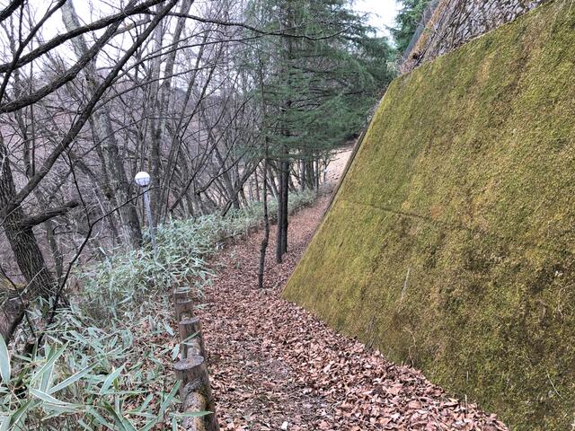 Additional image 37 of Oshigusa, Oshino Village, Minamitsuru District, Yamanashi Prefecture