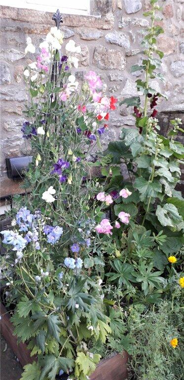 Additional image 23 of Gargrave, Skipton, BD23