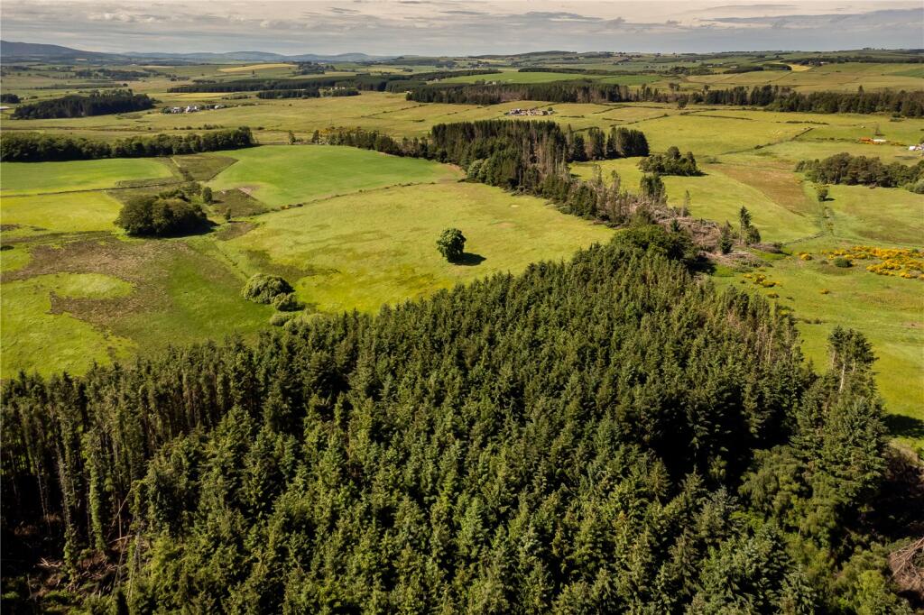 Additional image 3 of Lot 7 Cothill Woodland, Fintray, Aberdeen, Aberdeenshire, AB21