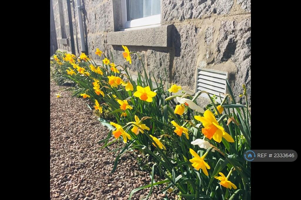 Additional image 11 of Lamond Place, Aberdeen, AB25