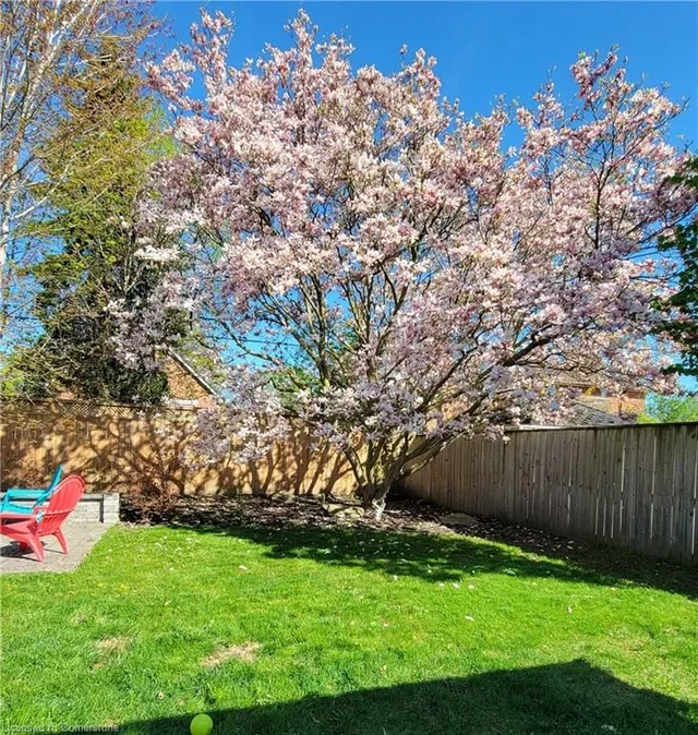 Additional image 49 of 31 Pinecrest Dr