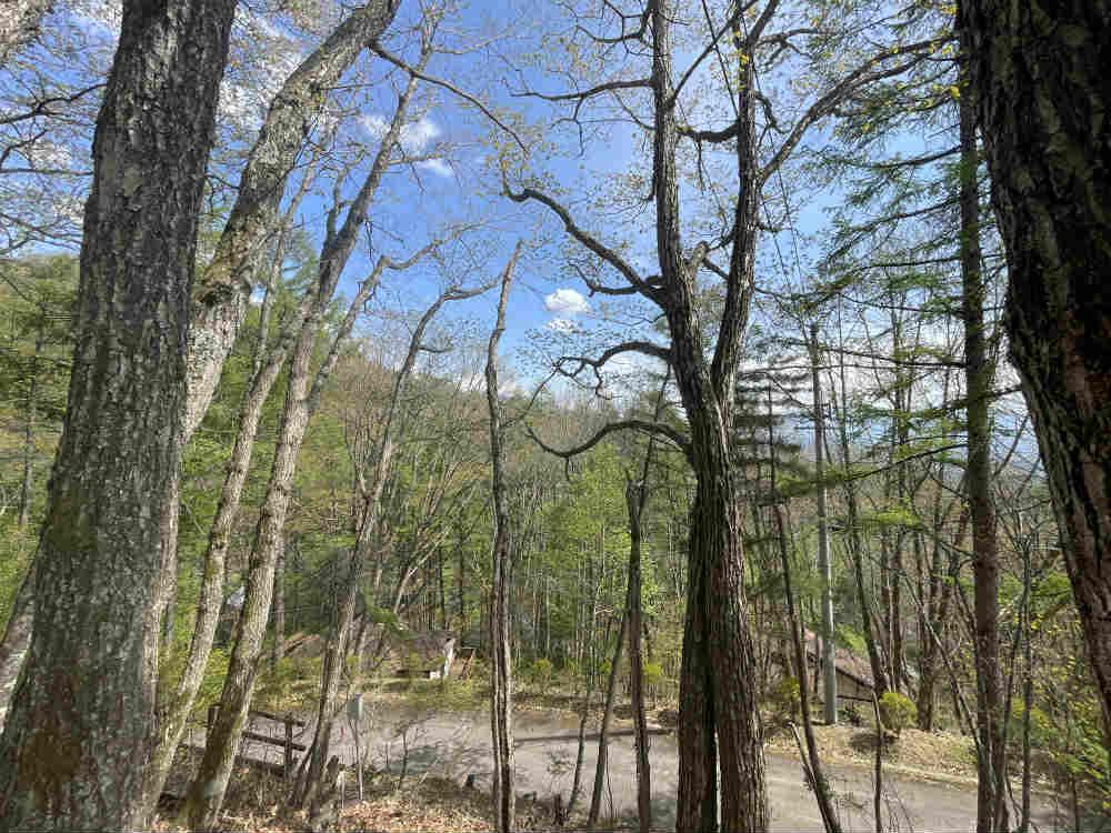 Additional image 11 of Kitayama, Chino City, Nagano Prefecture