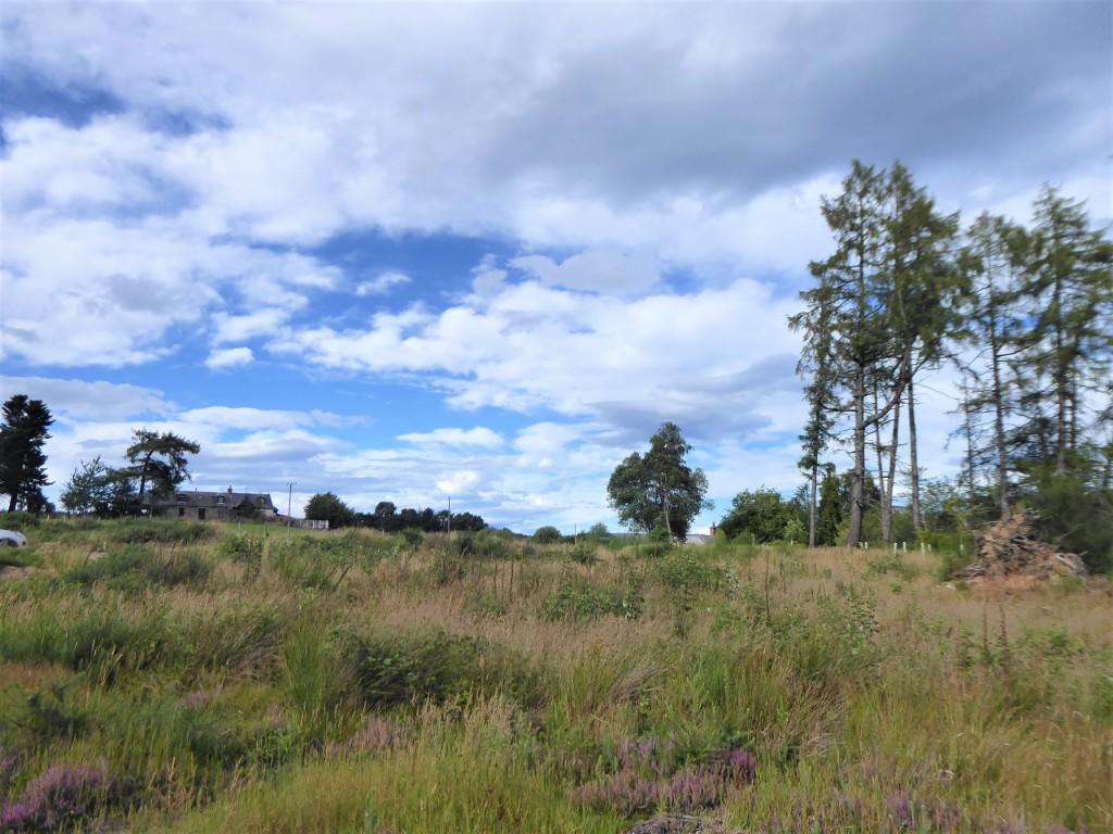 Primary image of Plot 1, Cossack Wood, Craigellachie,  AB38 9SL: