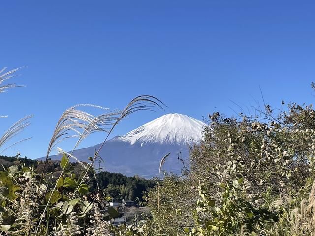 Additional image 6 of Takenoshita, Oyama-machi, Sunto-gun, Shizuoka Prefecture