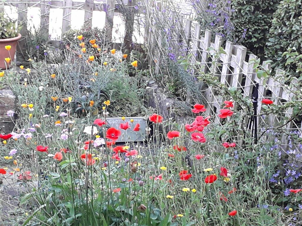 Additional image 22 of Gargrave, Skipton, BD23